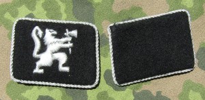 rse116s.jpg (3003 bytes)