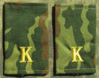 vsr16s.jpg (46444 bytes)