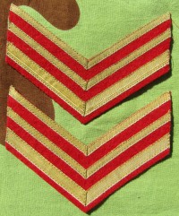 ssr5s.jpg (59939 bytes)