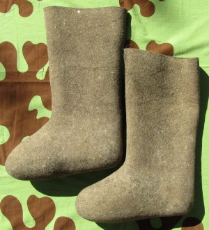 swb1s.jpg (3673 bytes)