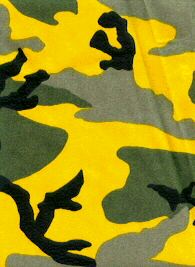 Yellow Triangular Camo Index of /trident/images